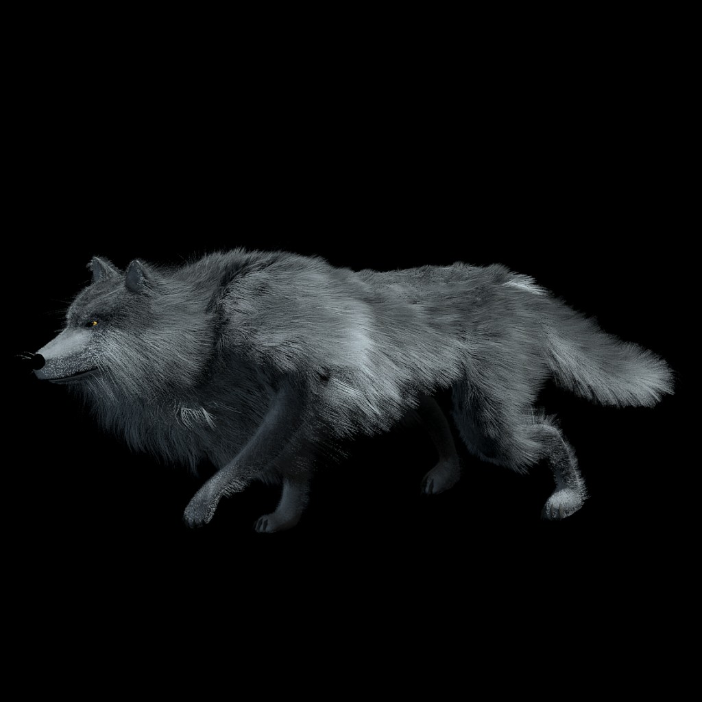 wolf fur preview image 2